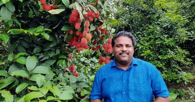 'I Feel Like a King': Farmer Earns Rs 15 Lakh/Acre by Making a Switch From Rubber Cultivation