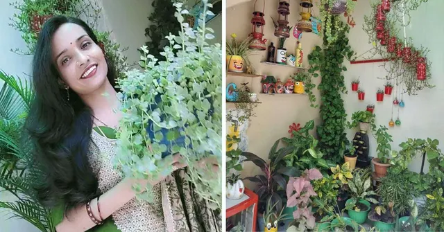 'Ode to My Mom-in-Law': Woman's 99% Upcycled Garden Has 300 Plants In Bottles, Utensils & More