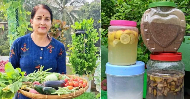 5 Ways to Make The Ultimate Organic Fertilisers At Home For a Thriving Garden