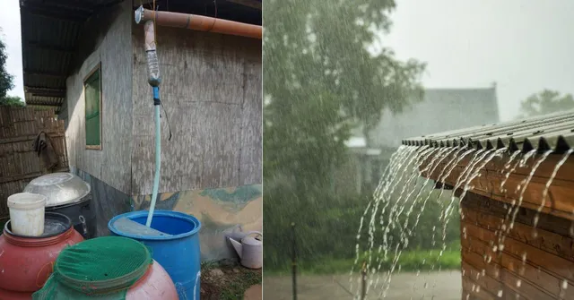 How to Start Rainwater Harvesting? Save 1 Lakh Litres This Monsoon With a Simple Setup