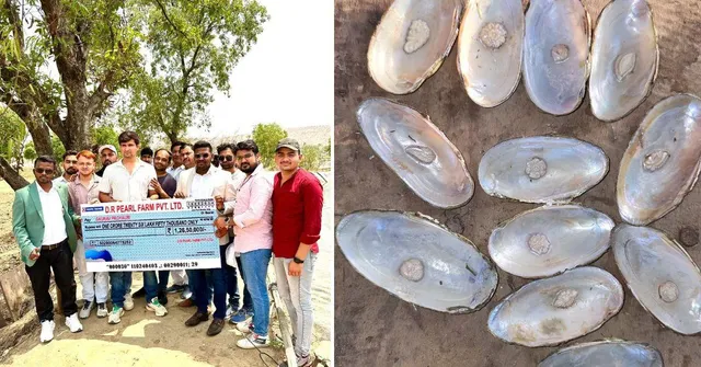 'How A 5-Day Training in Pearl Farming Helped Me Earn Rs 55 Lakh'