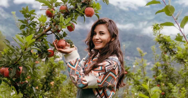 Phal Phool: Daughter's Idea Helped Parents Achieve Triple Apple Profits on Online Sales