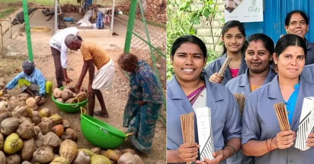 8 Innovative Ventures Turning the Humble Coconut Into Valuable Eco-Conscious Products