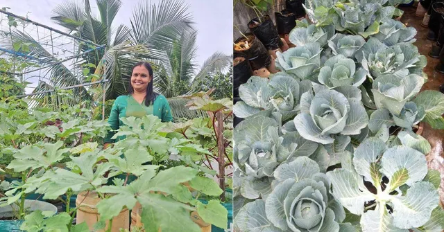 'More Than a Hobby': Kerala Homemaker Saves Rs 5000 Monthly Growing Organic Veggies on Terrace