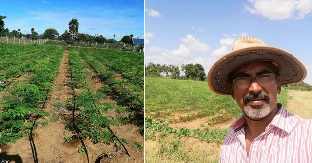 Scientist Quits Job for Organic Farming with Moringa Leaves and Launches Profitable Venture