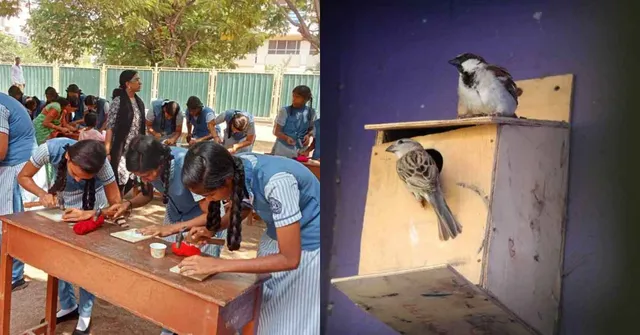 How Koodugal Nest Is Turning Chennai’s Schools Into Havens for Sparrows