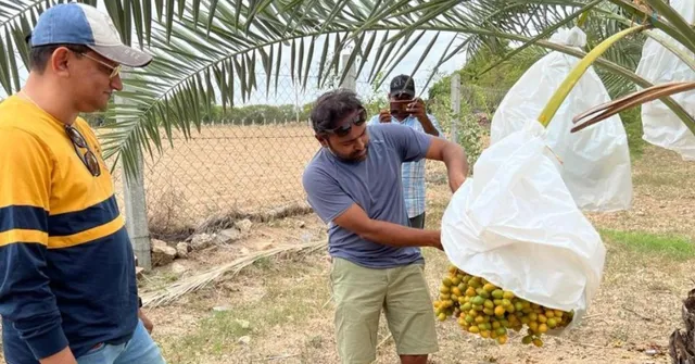 Go From Rs 0 to Rs 1 Crore: 7 Powerful Lessons From Farmers Who Made Their Land Profitable