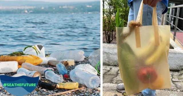 Ex-Google Employee’s Seaweed Packaging Could Finally Replace Plastic!