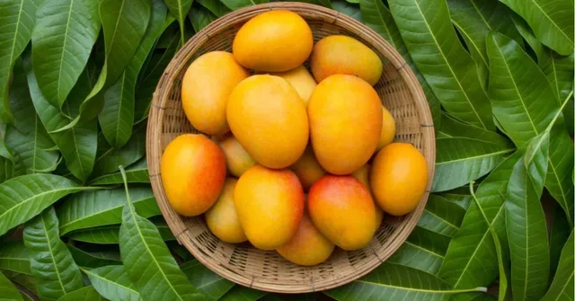Why Is Alphonso Called Alphonso? Fascinating Stories of India’s Top 5 Mangoes