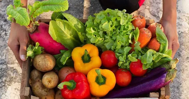 The Ultimate Gardening Guide For March: Grow These 7 Veggies & Herbs At Home!