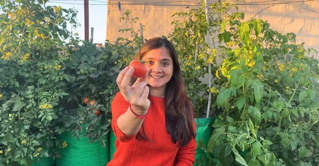 Mulberries, Chillies & More: How One Woman Turned Her Terrace into a Mini Farm