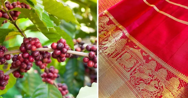 In Pics: A Celebration of Karnataka’s 10 Best-Kept Secrets — From Sugarcane to Silk Sarees