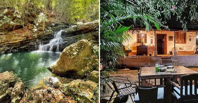 How a Former Journalist & a Rafting Pioneer Couple Built a Forest Retreat Without Electricity