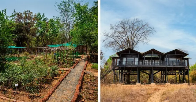 70% Solar-Powered & Plastic-Free, This Madhya Pradesh Jungle Lodge Grows 80% of Its Own Food