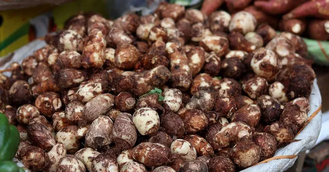 Why Arbi Is the Ultimate Monsoon Veggie for Home Gardeners (And How To Start)