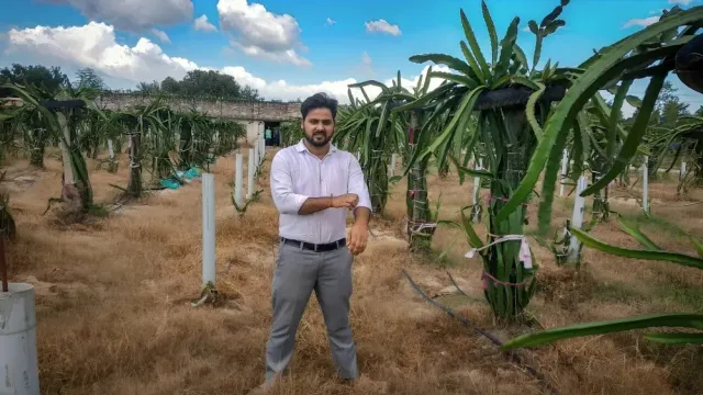 He Left Engineering to Grow Dragon Fruit & Today, His Farm Earns Rs 20 Lakh/Year