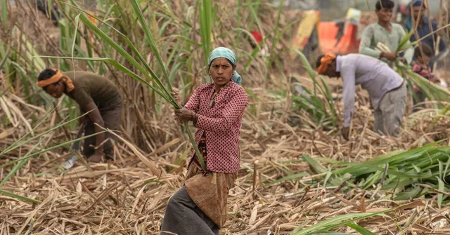 In Beed, Hysterectomies Are the Price of Work, But We Found a Solution That Gives Women a Choice