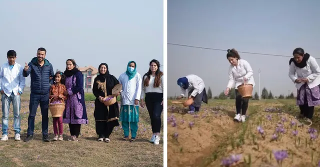 How a Kashmiri Family is Taking Saffron to the World While Empowering Local Artisans & Farmers