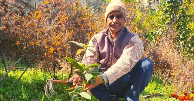 Jagdish Chandra Kuniyal: The Man Who Planted 1 Lakh Trees in Uttarakhand