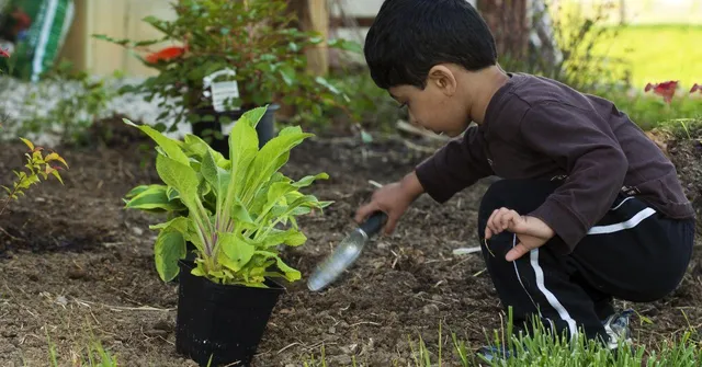 How Gardening Teaches Kids Kindness, Patience & Responsibility