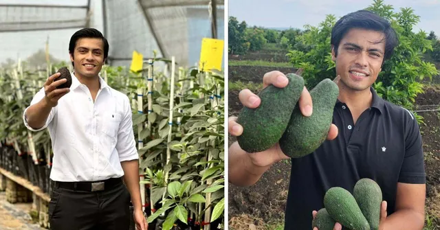 Watch: Young Farmer Grew Avocados on Barren Land in Bhopal & Turned It Into a ₹1 Cr Business