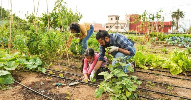 Farms Near Big Cities Are Becoming the New Weekend Escape for Curious Kids & Tired Parents