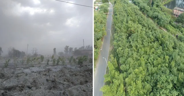 How a Scientist Is Growing Bamboo Forests To Heal Maharashtra’s Villages Choked by Toxic Ash