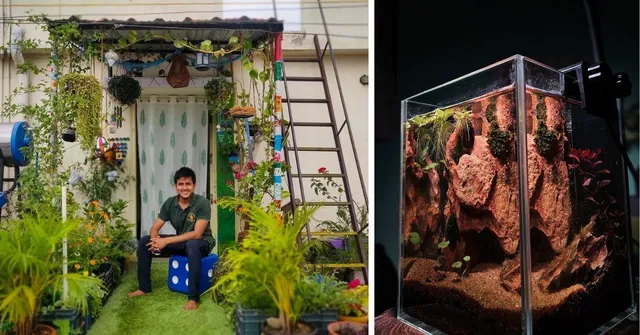 While You Were Doomscrolling, This B'luru Guy Built a 500-Plant Jungle In His Home After Work
