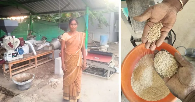 How Solar-Powered Rice Mills Are Helping Farmers Increase Rice Recovery by 30% & Double Their Income