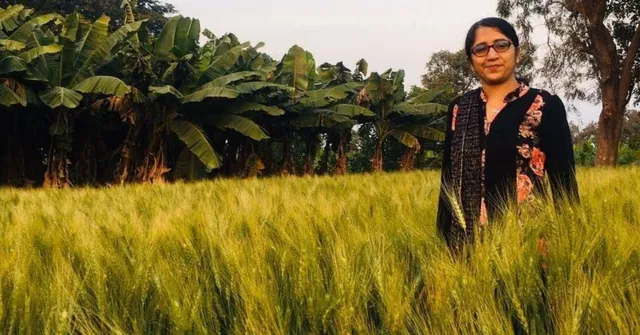 A Daughter’s Love Revived Khapli Wheat in Jalgaon, Expanding to 1500 Acres & Lakhs in Earnings