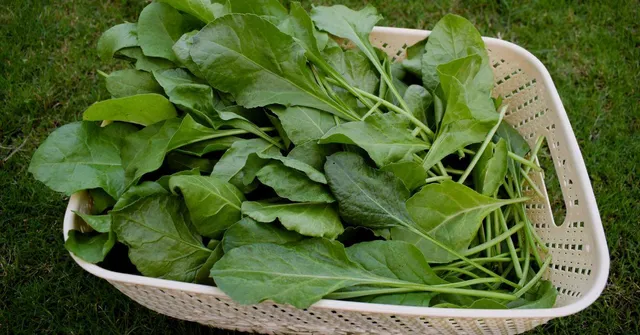 How To Turn Vegetable Peels And Stalks Into Snacks That Your Kids Will Enjoy 