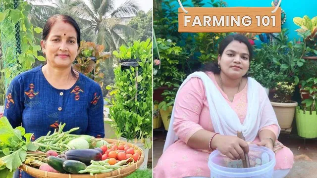 Grow Mango, Guava & Citrus at Home: Easy Tips from Successful Gardeners