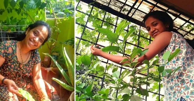Balcony gardening