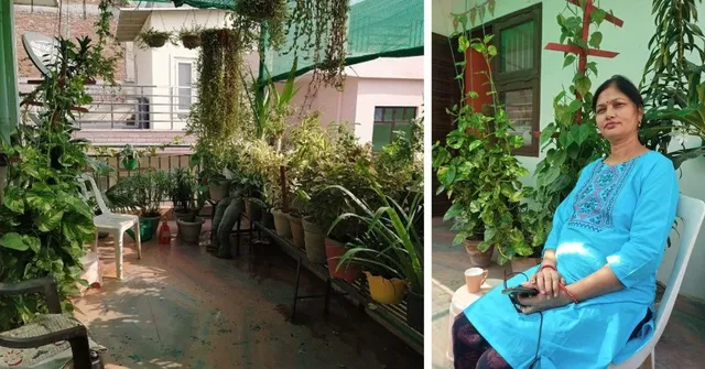 Terrace Gardening