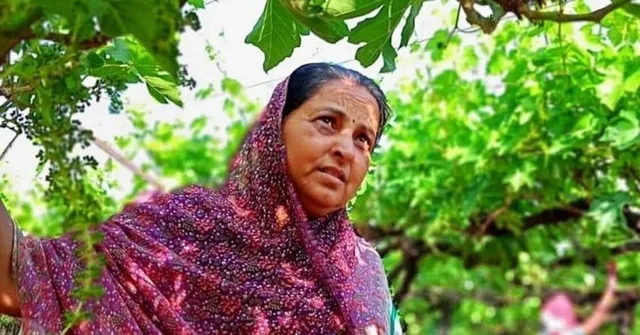 Lady Farmer