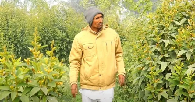 Organic Farmer