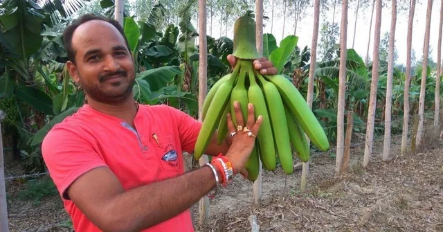 Part Time Farming