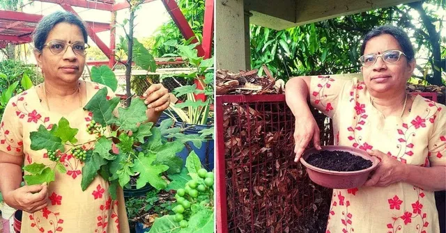 Composting Factory