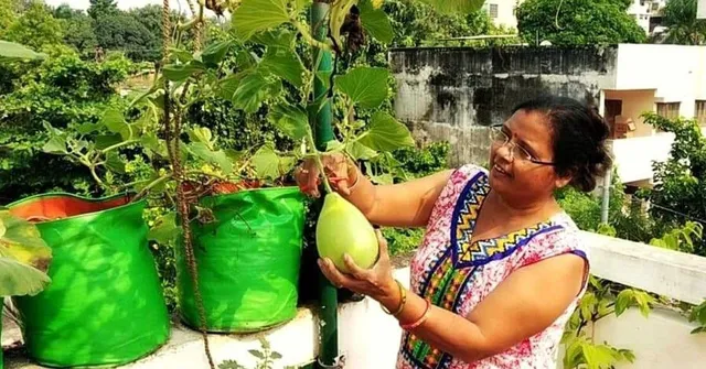 Zero waste gardening