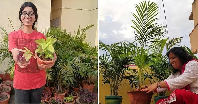 Gardening
