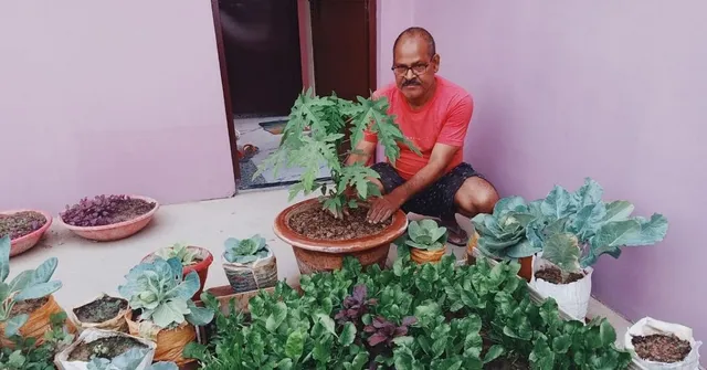 Organic Farming