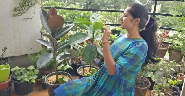Balcony Gardening