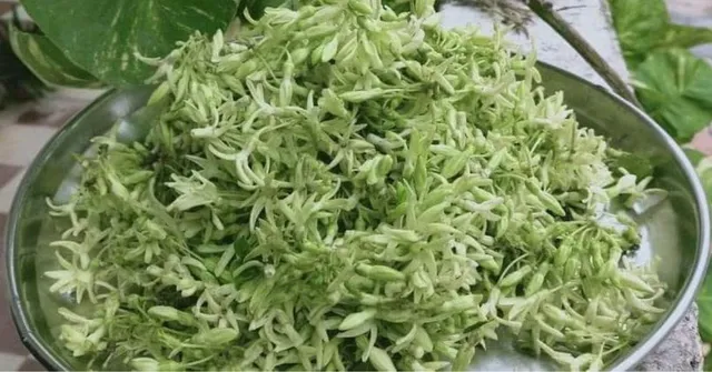Vachheti
