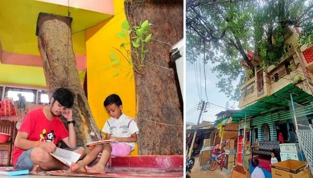 House in Tree