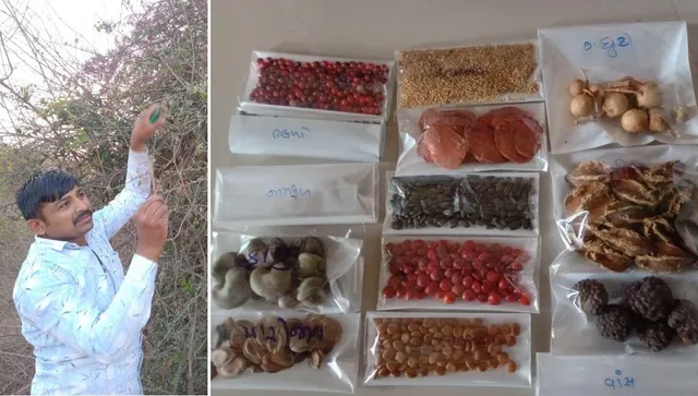 Free Seed Bank