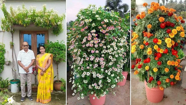 Annual Flower Show