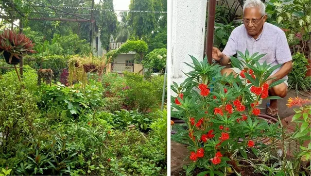 Terrace gardening ideas