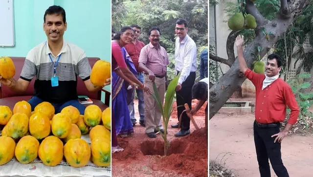 Food Forest By Dr Sasikant
