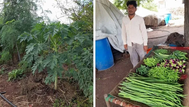 Jungal Model Farming