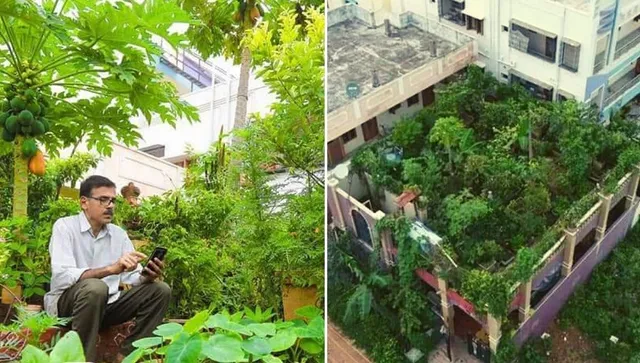 Home Terrace Farming